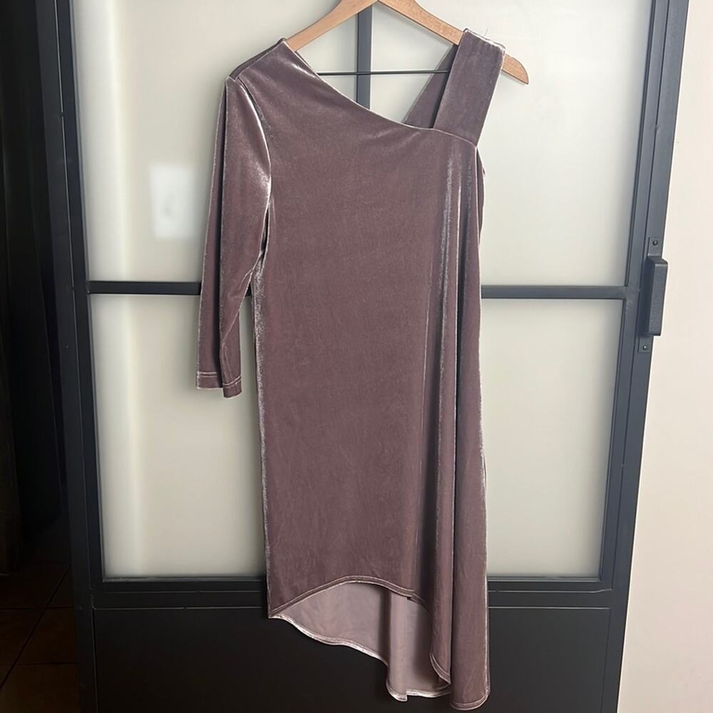 Crosby by Molly Burch Nella Dress Size 0